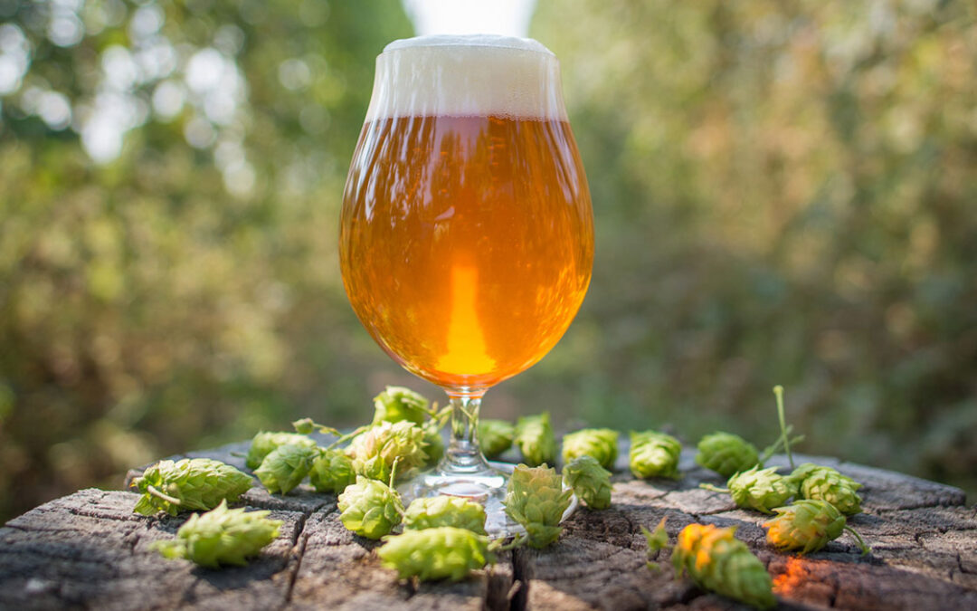 Le origini della Birra: lo stile IPA